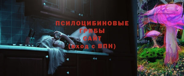прущие крисы Ельня