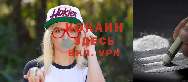 прущие крисы Ельня