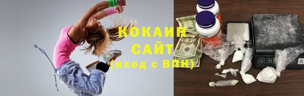 метадон Елизово