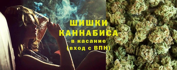 прущие крисы Ельня