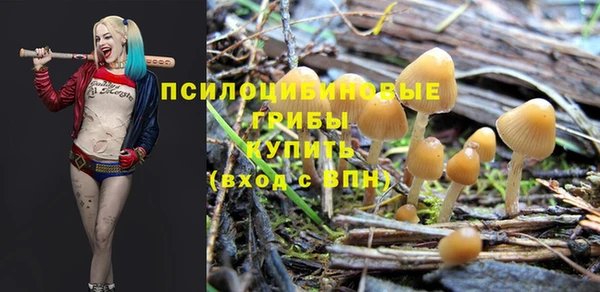 прущие крисы Ельня
