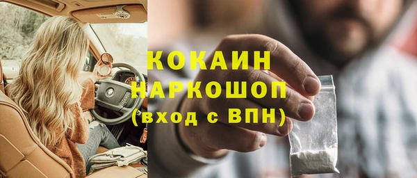 прущие крисы Ельня